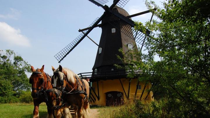 Frilandsmuseet i Lyngby